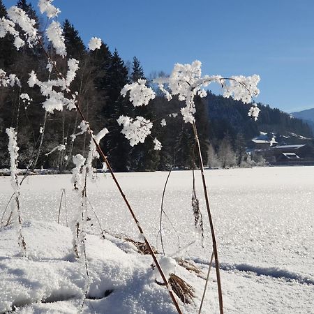 Griesbachhof-Wilder Kaiser Oberndorf in Tirol Bagian luar foto